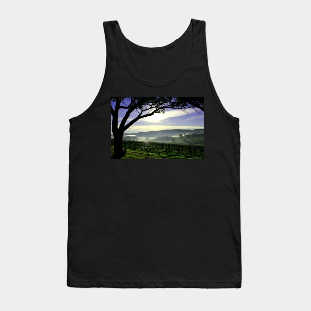 South Australia Barossa Landscape Tank Top by jwwallace